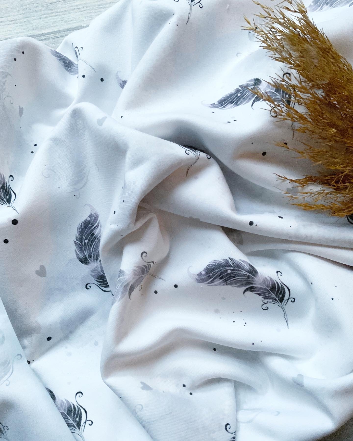 Feder Dauervorbestellung